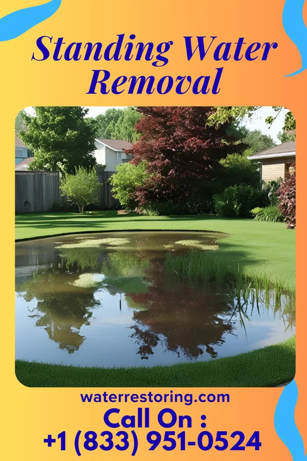 Standing Water Removal in Portland, ME